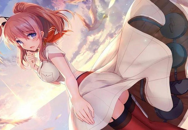 彩神网